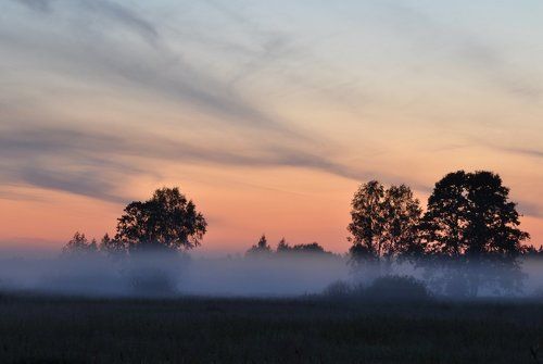 Под покровом тумана