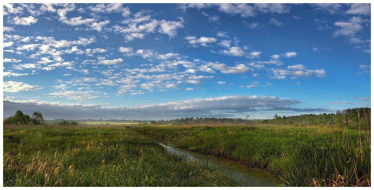 природа, пейзаж, утро, небо, трава, лес, река, Oleg Dmitriev