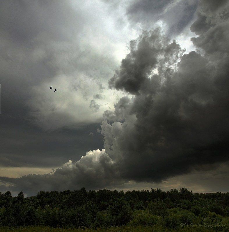 Поединок... фото превью