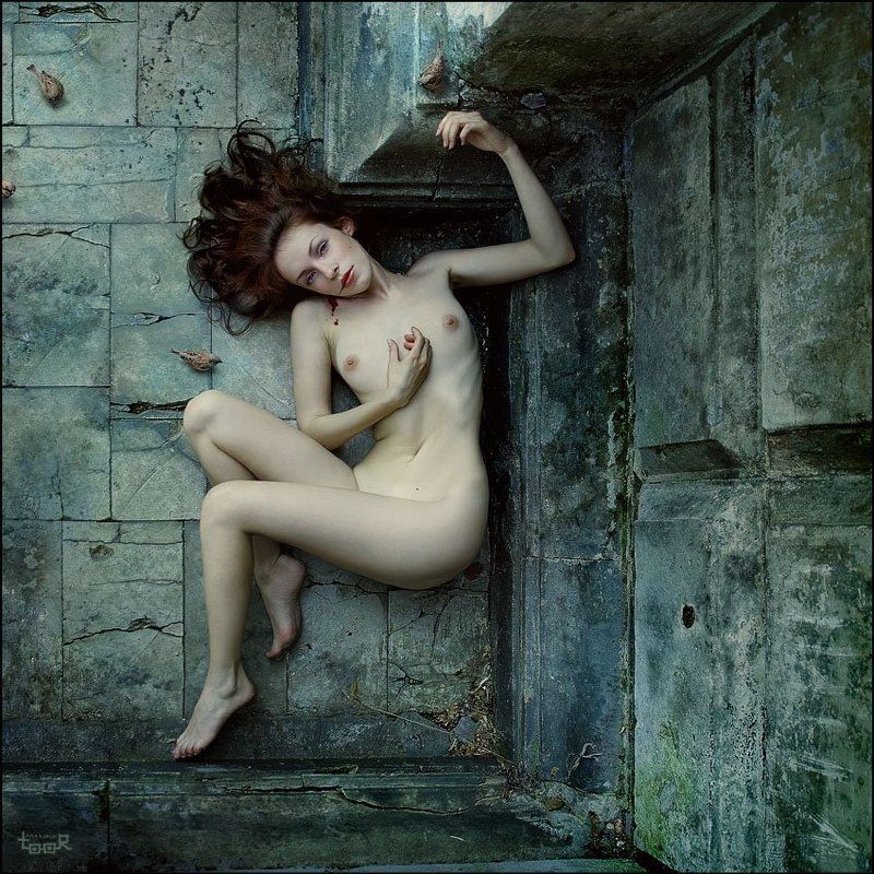 ню Локуламентум фото превью