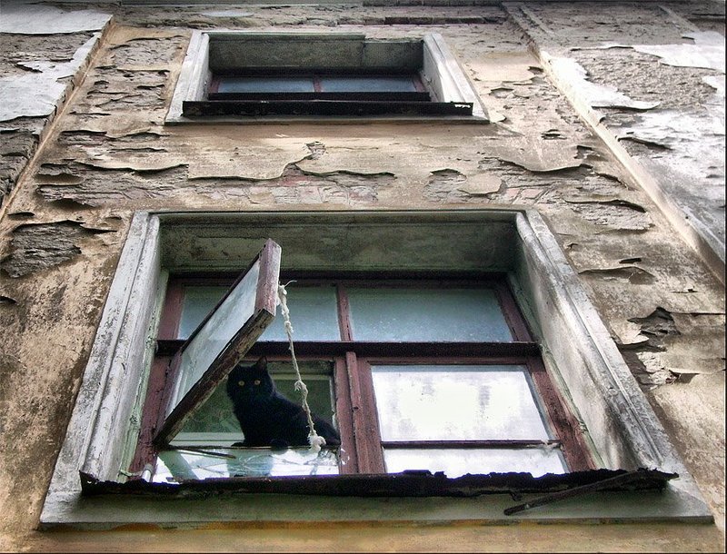 Гравитация фото превью