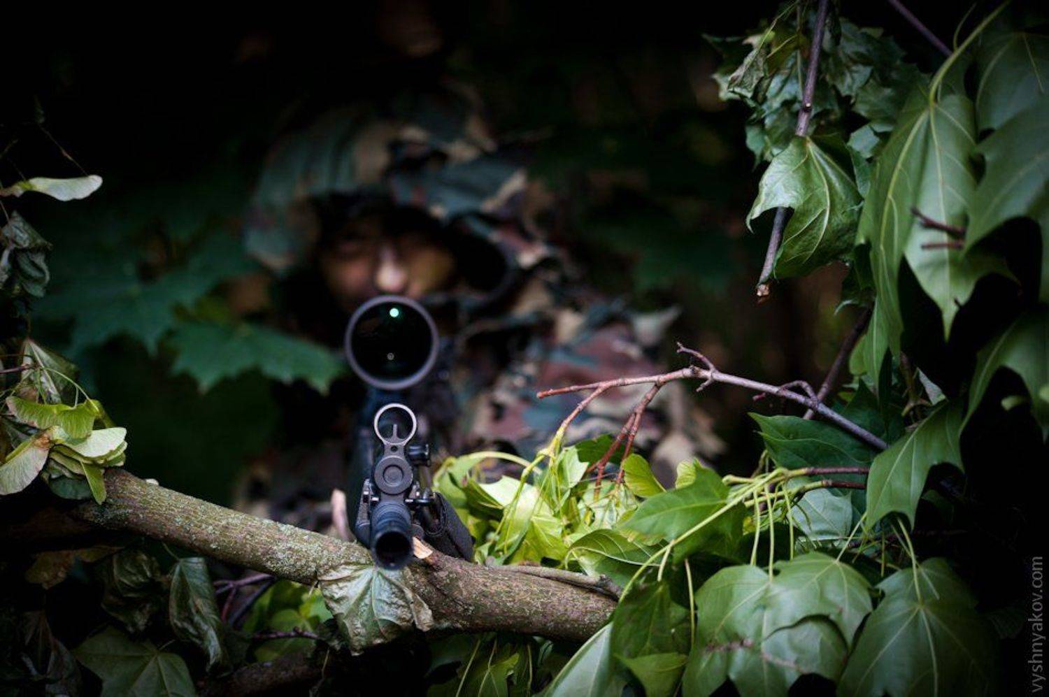 , Александр Вишняков