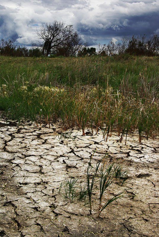 природа, зауралье, дно, озеро, фотограф, руденко, олег На дне озера фото превью