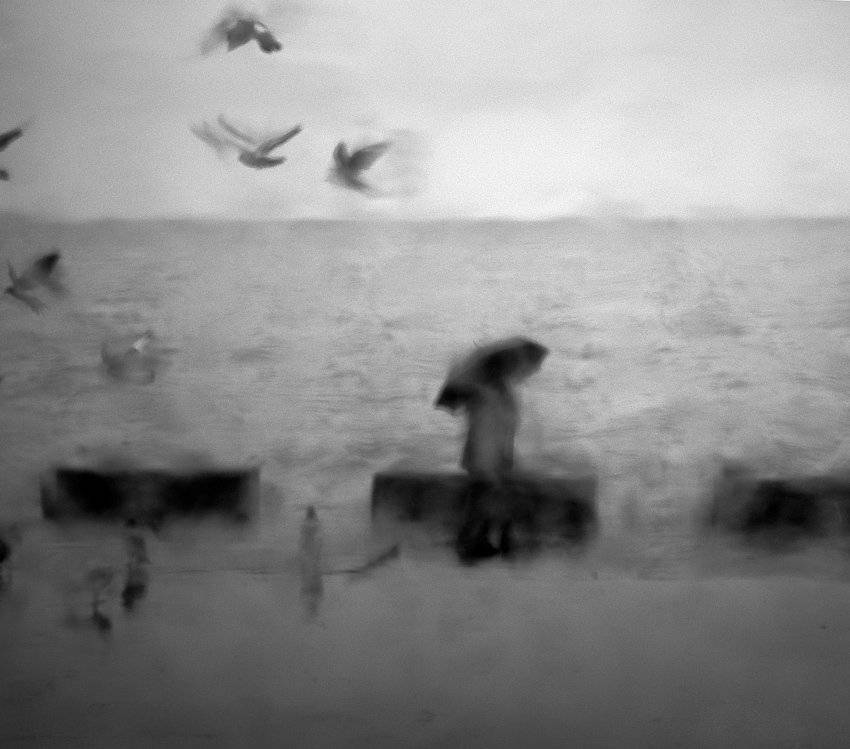 человек, дождь. птицы, чб, Павел