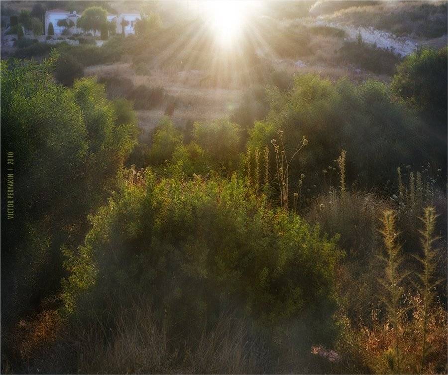 , Виктор Перякин