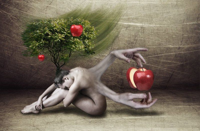 яблонька фото превью