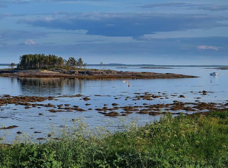 пейзаж, николай дмитрук