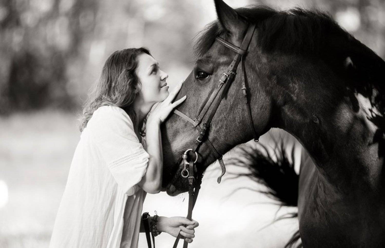 девушка, оля, лошадь, улица, BezOdezhdi