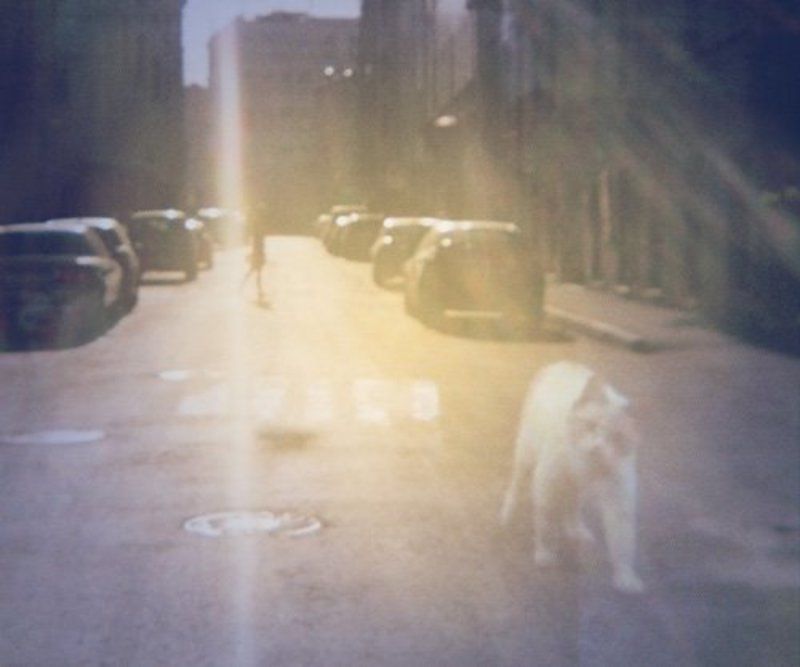 Passers фото превью