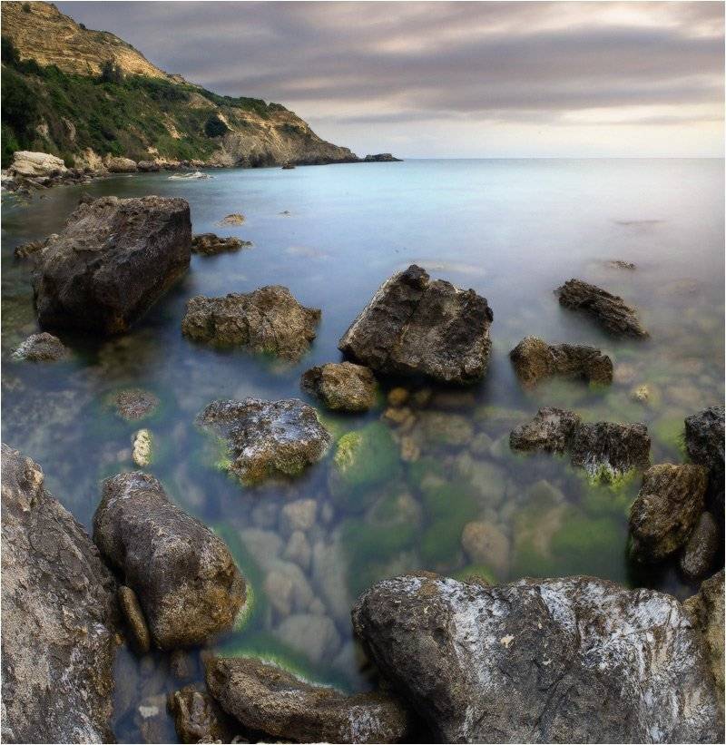 , Яна  Гайворонская