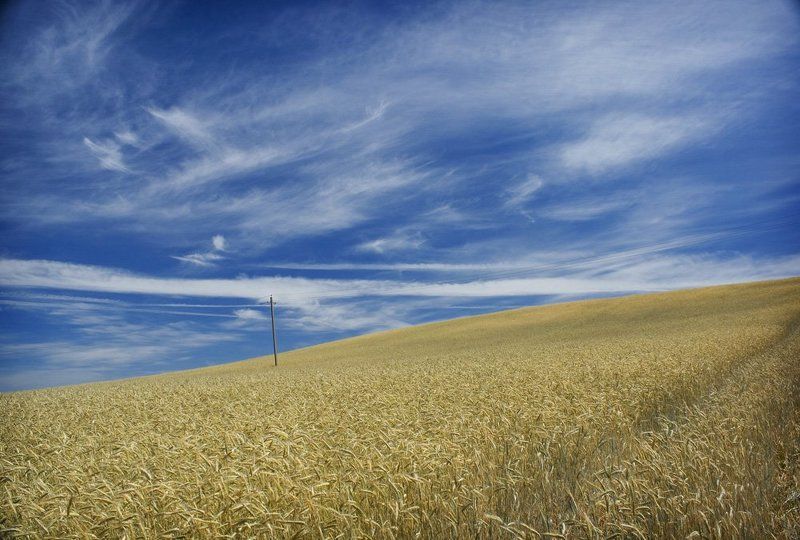 лето, июнь, пенза безмятежность фото превью