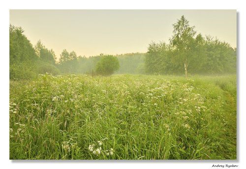 Летнее утро...