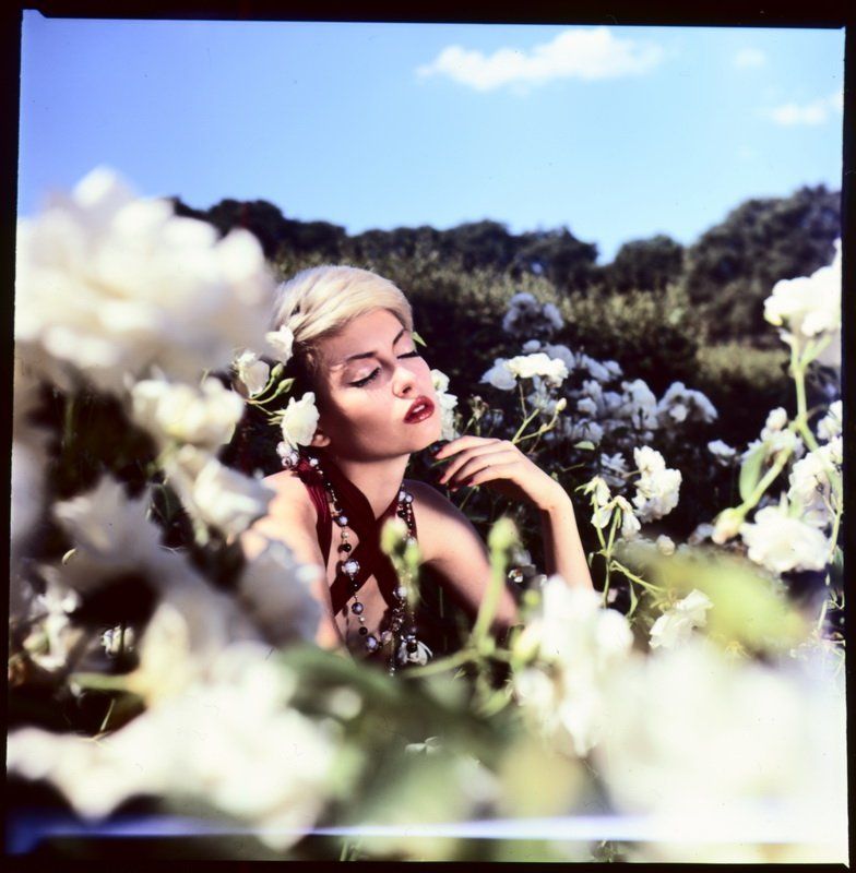 retrosad фото превью