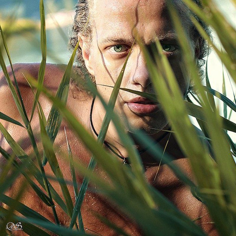 wild hunter фото превью