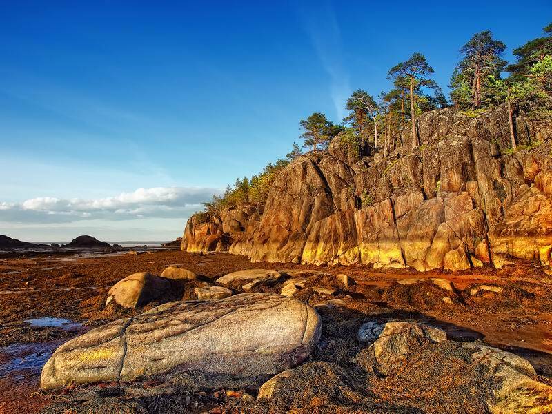 пейзаж, николай дмитрук