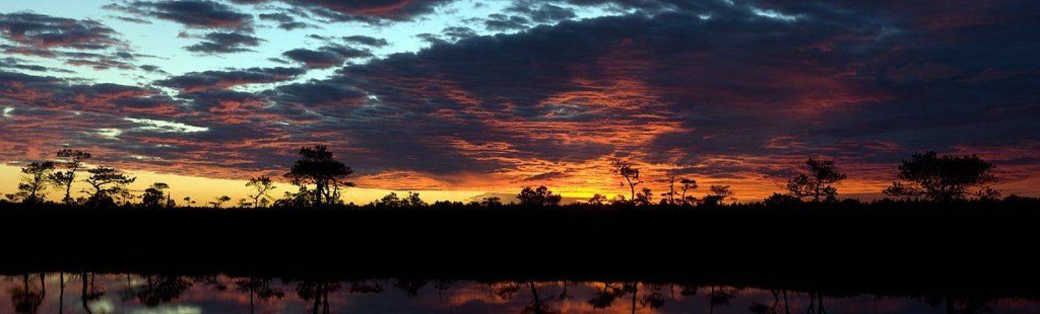 , Игорь Вишняков