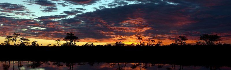 *** фото превью