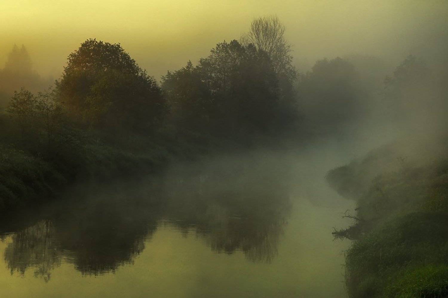 природа, туман, река, волшебство, подмосковье, етти