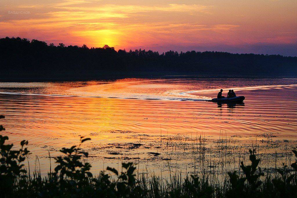 , Владислав.