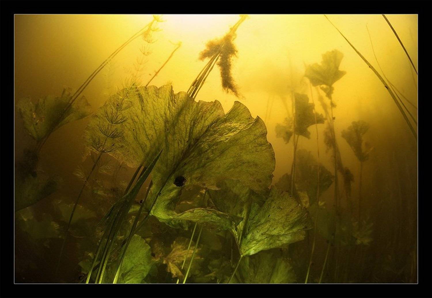 , Нарчук Андрей