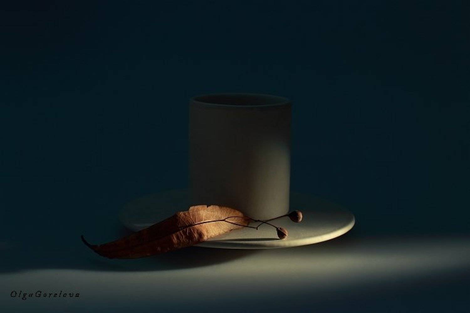 натюрморт, веточка, фото, Ольга Горелова