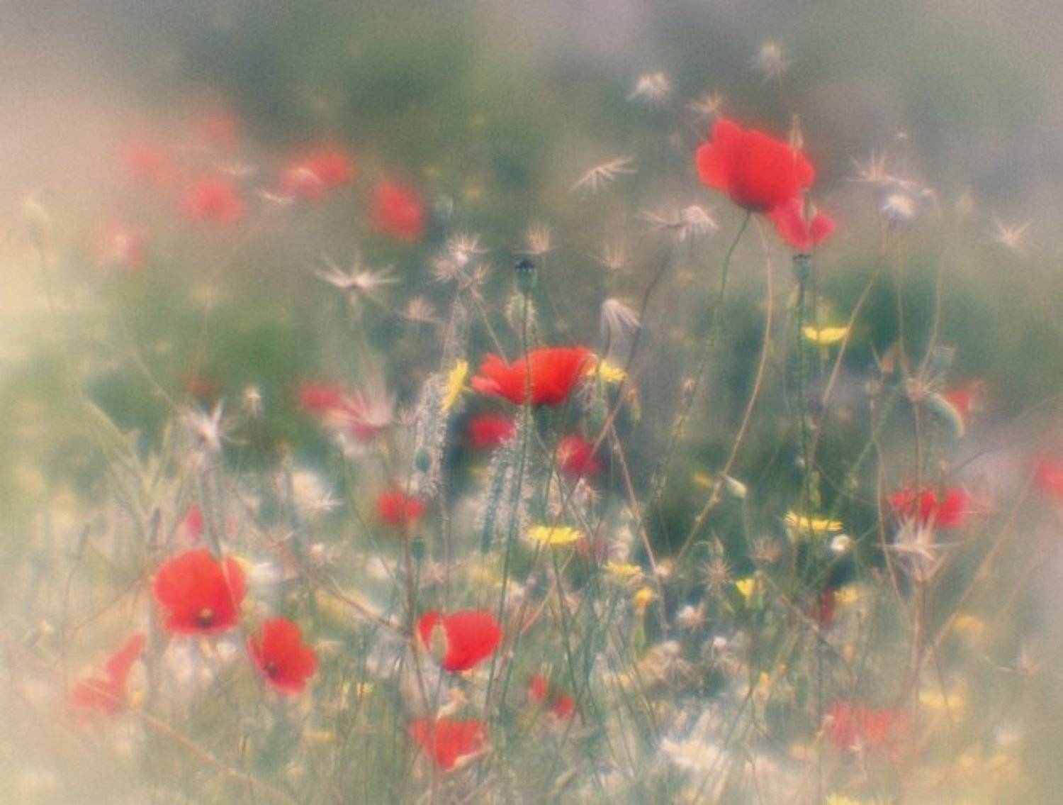 , Сергей Бородин (Minstrel)