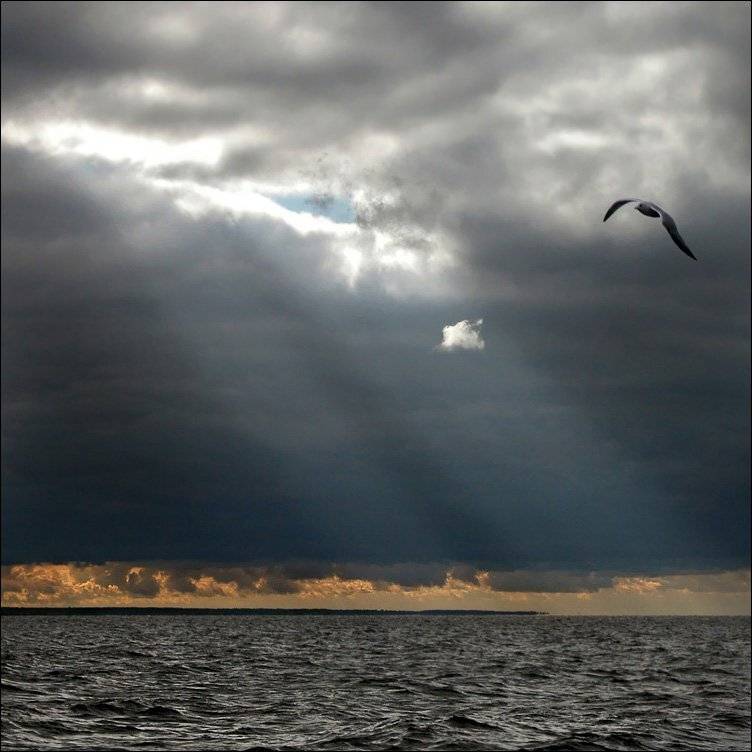 ладога, Тарасов Алексей