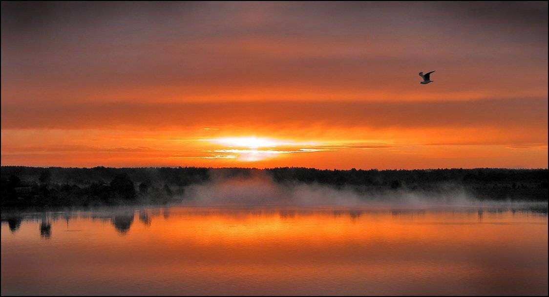 ладога, рассвет, Тарасов Алексей