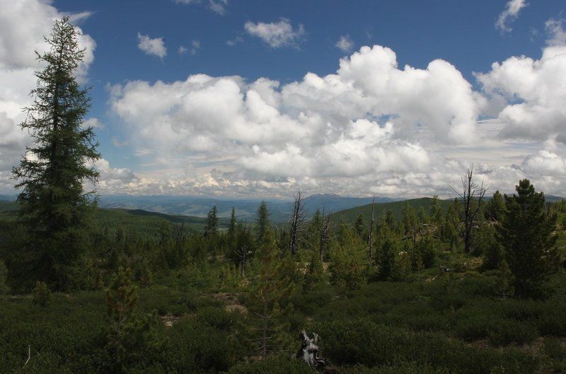 На Улаганском перевале.Облака. фото превью