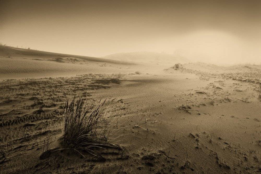 , Александр Титаренко