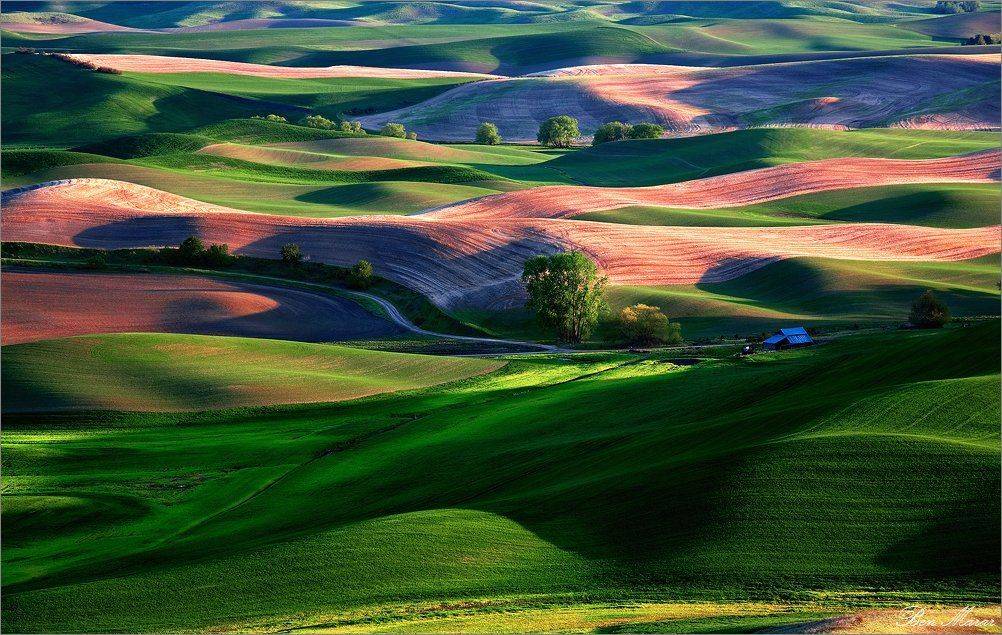 palouse, , wheat, fields, Ben Marar