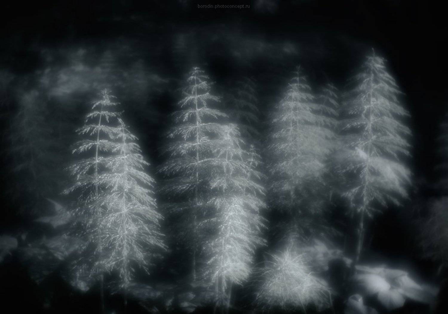 , Сергей Бородин (Minstrel)