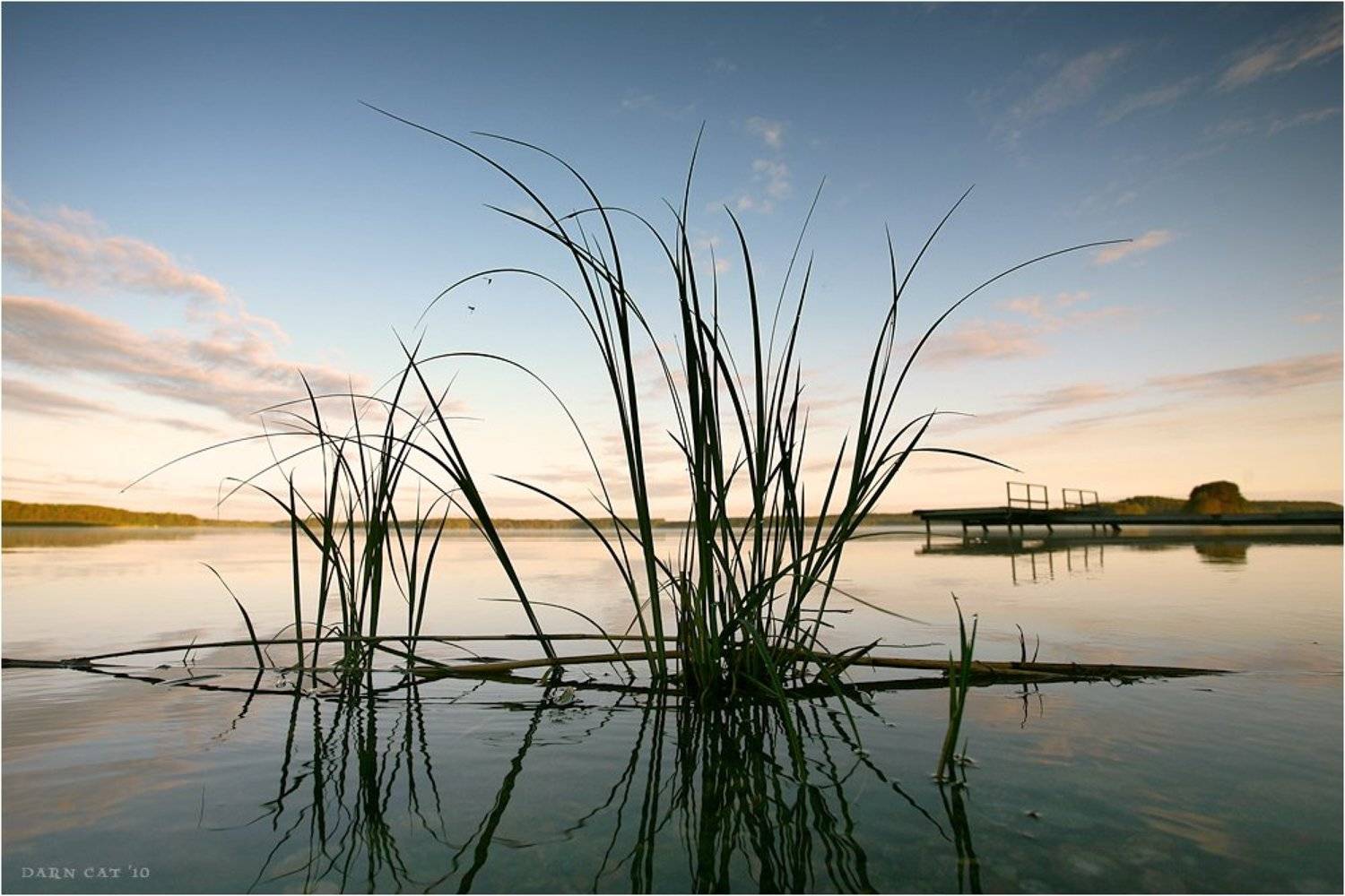 финляндия, утро, трава, рассвет, озеро, причал, два, комара, Darn Cat