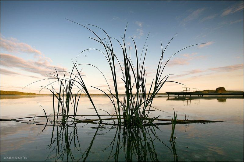 финляндия, утро, трава, рассвет, озеро, причал, два, комара Финляндия. 4.30 утра фото превью
