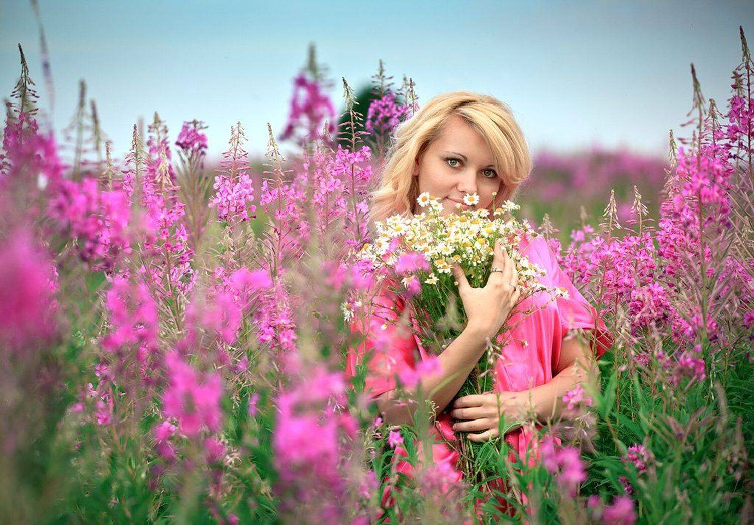 иван-чай розовое, портрет, Гарбузов Илья