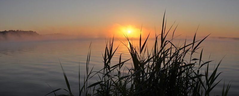 сенеж, озеро, рассвет, утро, солнце, вода, туман Озерный рассвет фото превью