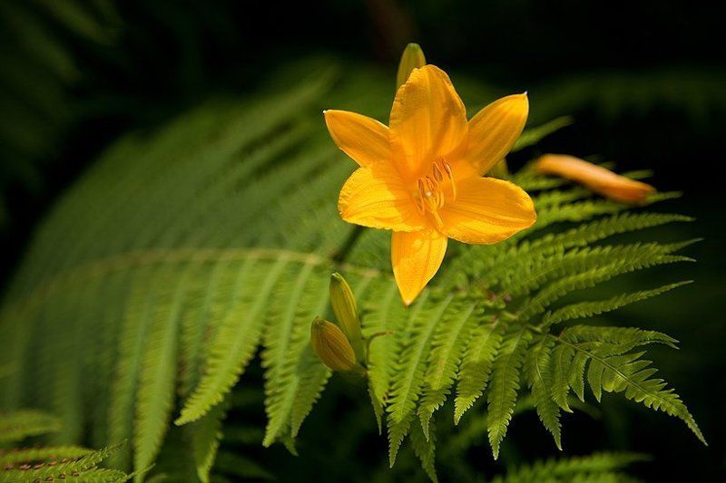 Открытка фото превью