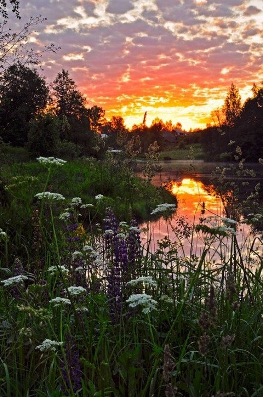 краски неба фото превью