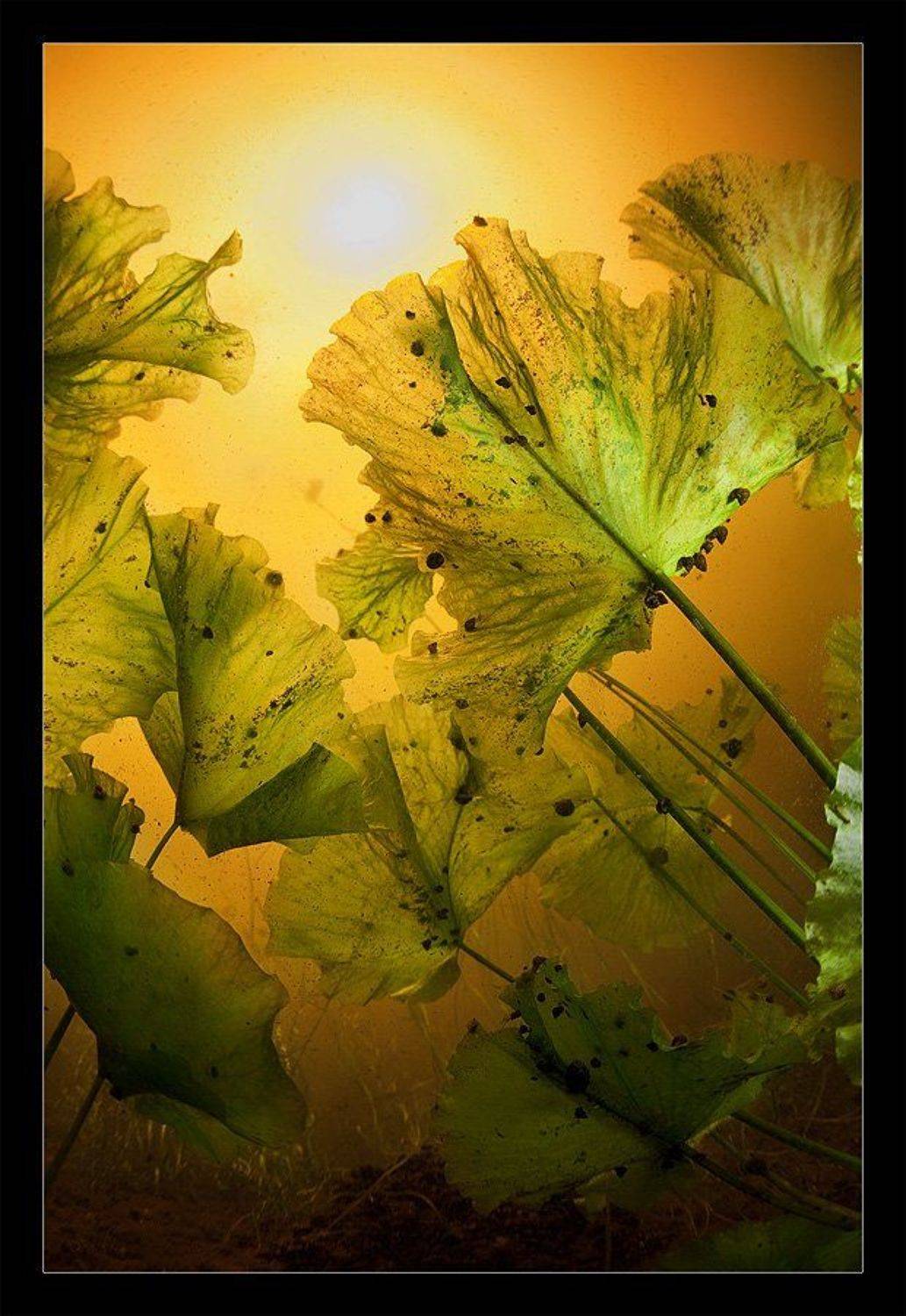 , Нарчук Андрей