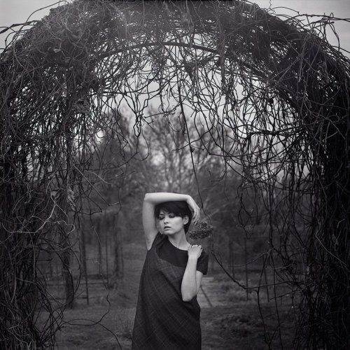 осінніми квітами проростаючи_2