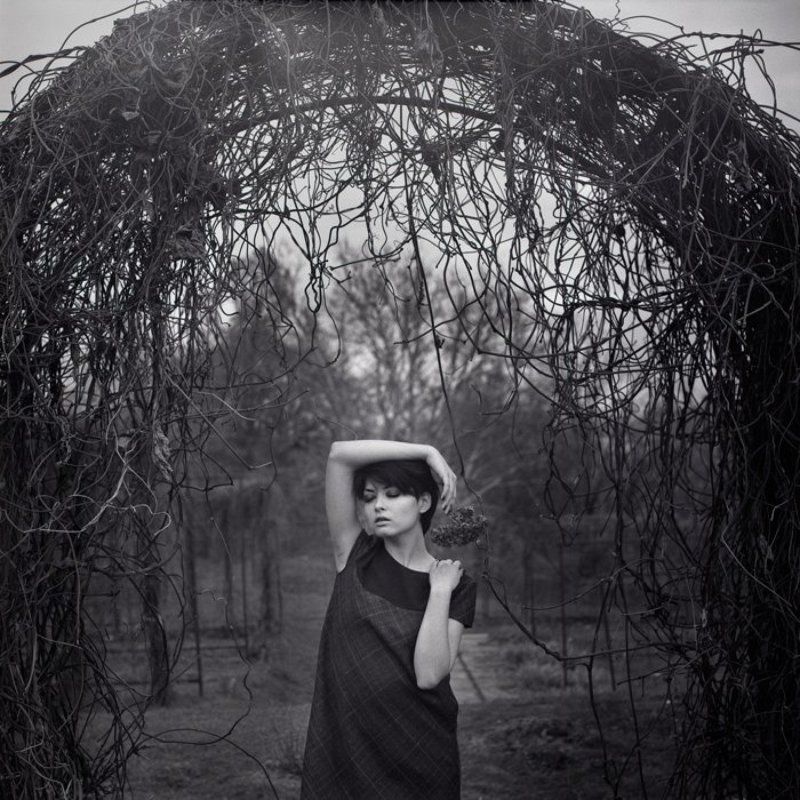 6х6 осінніми квітами проростаючи_2 фото превью