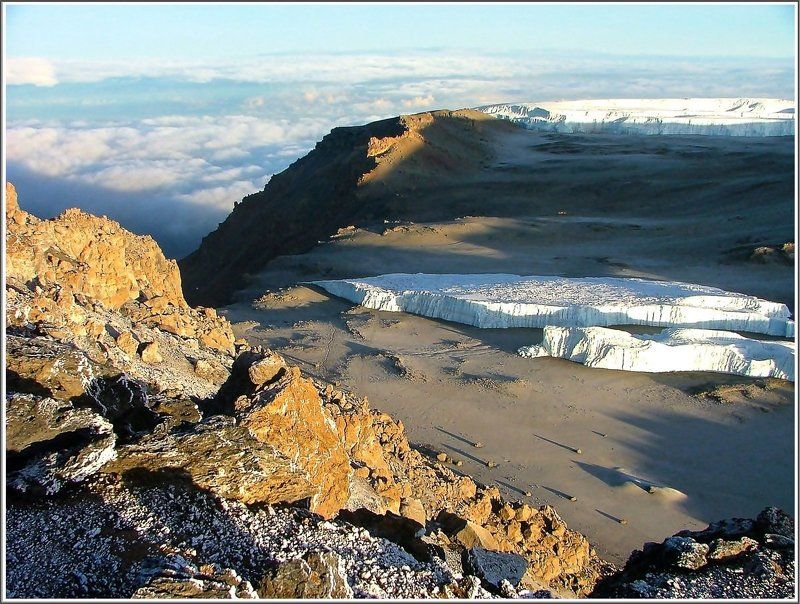 В поисках леопарда фото превью