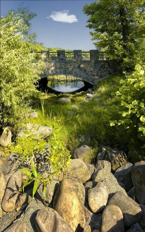 пейзаж мост, киев мост через высохший ручей. фото превью