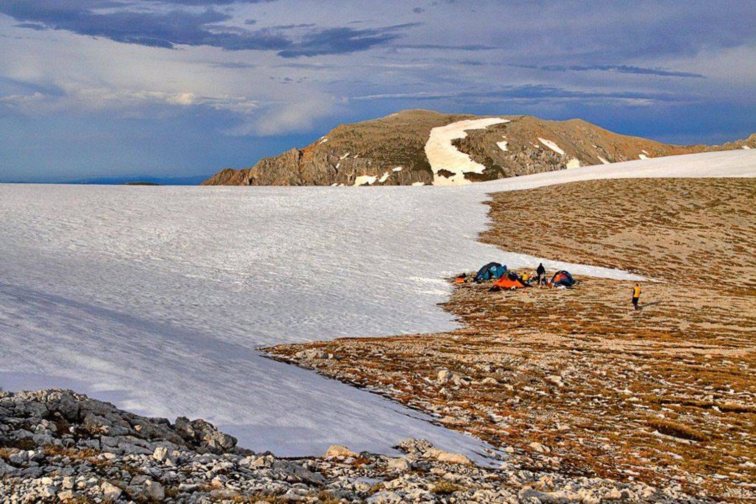 , Синицкий Виталий