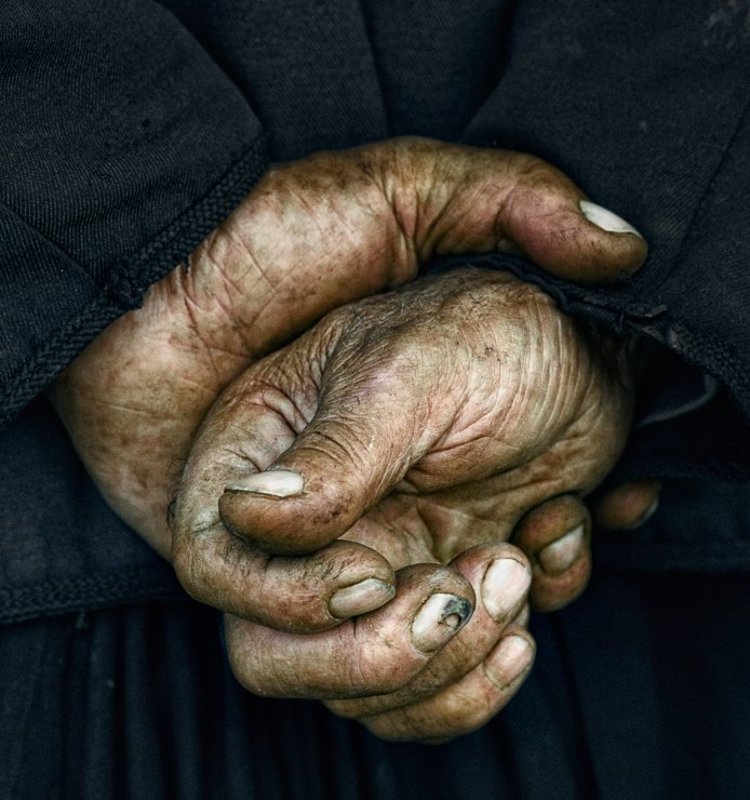 Трудяга фото превью