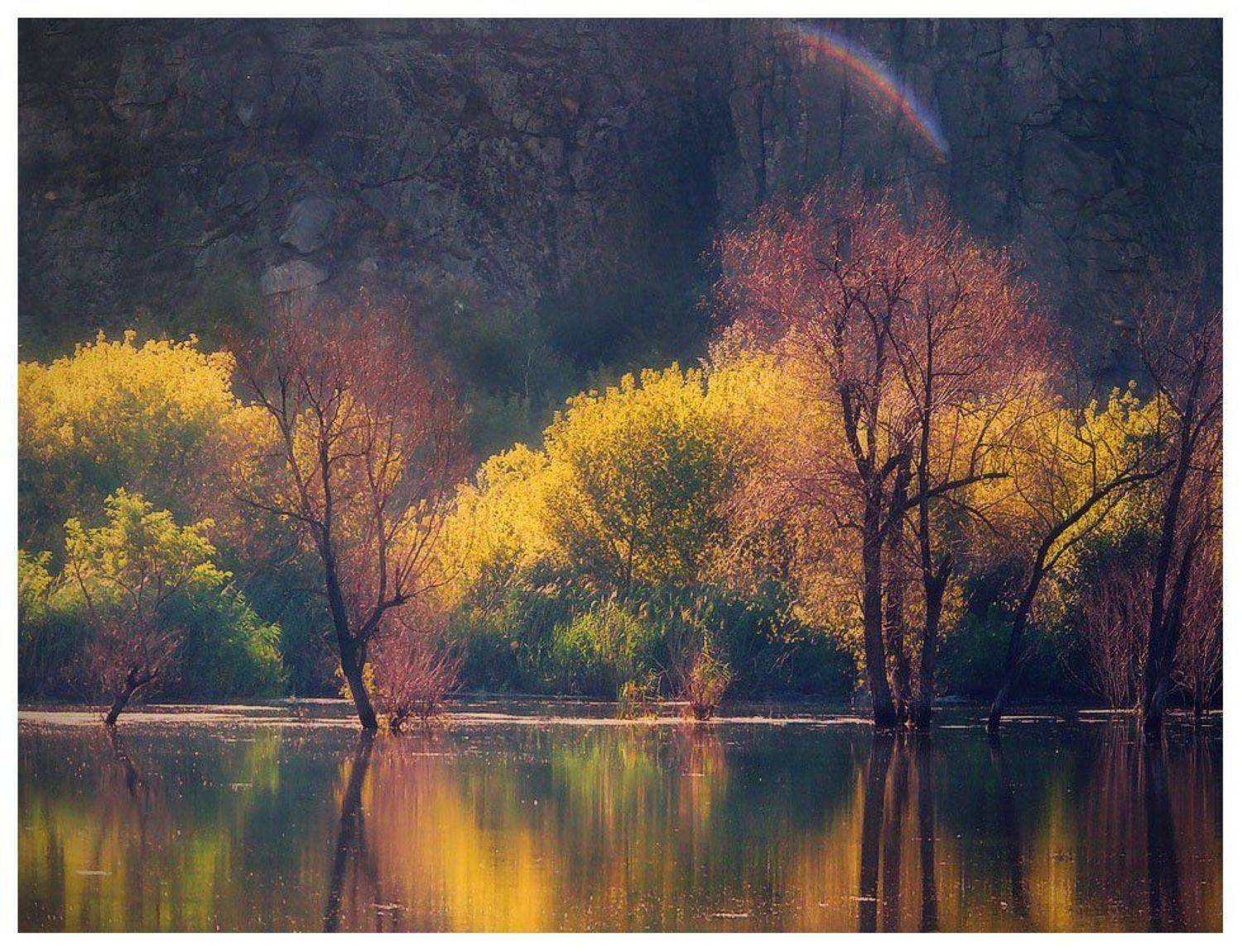 , Денис Кривой