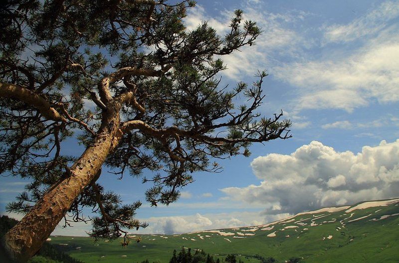 природа,пейзаж,горы,адыгея Адыгея. фото превью