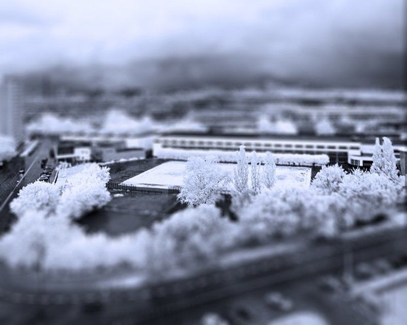 Частичка мира в чьей-то ладони. фото превью