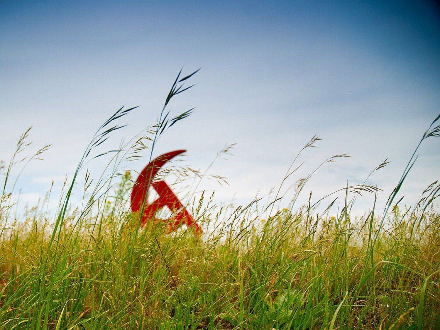 серп, молот, торновое, Ермаков Сергей