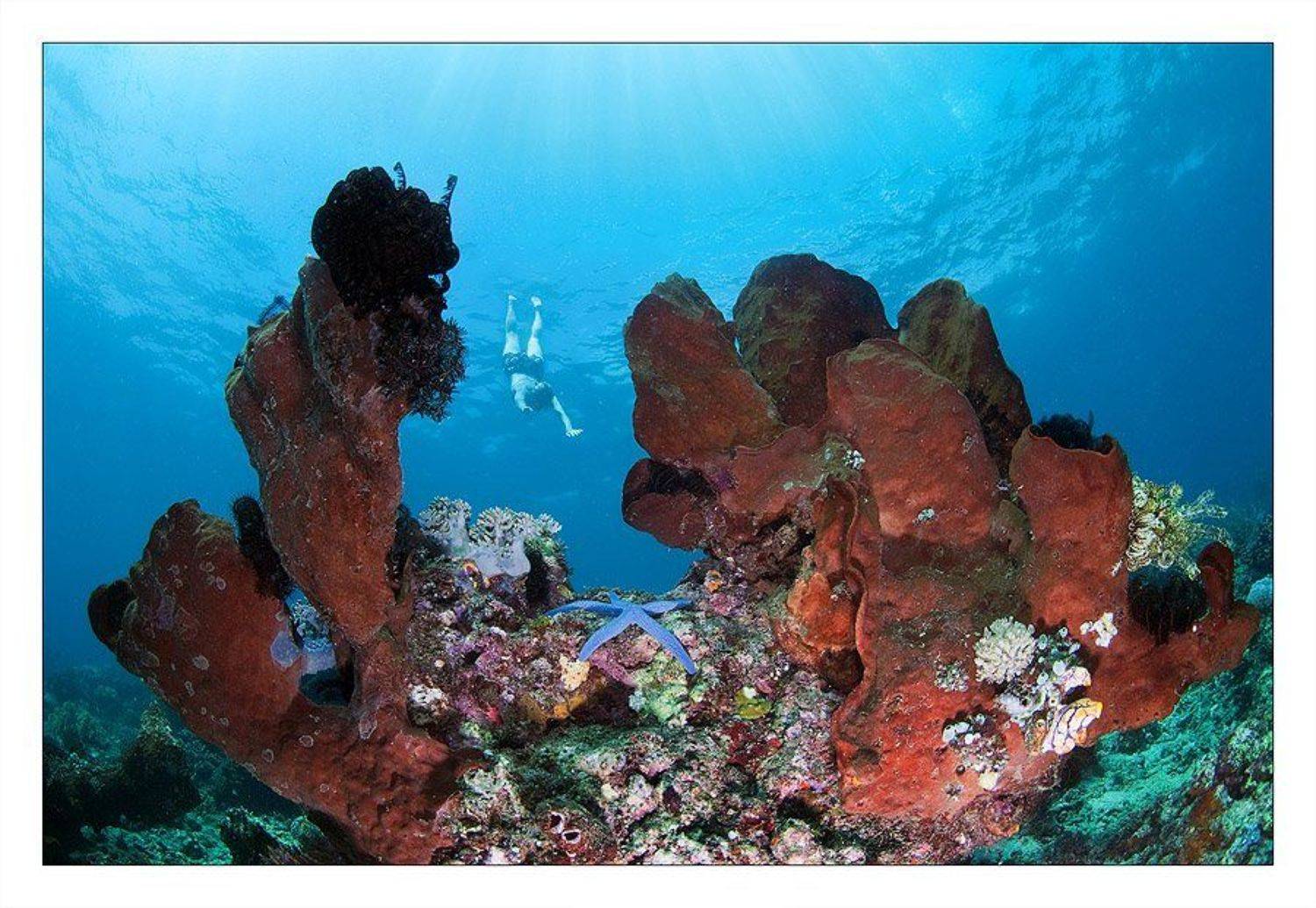 , Нарчук Андрей